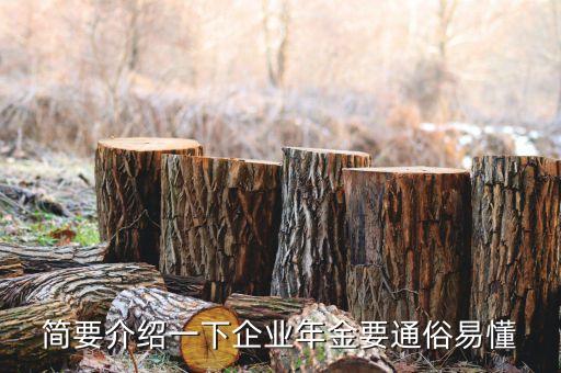 簡要介紹一下企業(yè)年金要通俗易懂