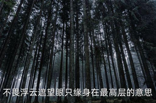 不畏浮云遮望眼什么意思，不畏浮云遮望眼 只緣身在最高層是什么意思