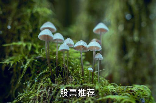 新鋼股份什么時候倒閉，請問知情人士山西臨汾曲沃的中宇鋼鐵公司怎么樣