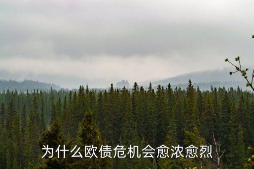 為什么歐債危機(jī)會(huì)愈濃愈烈