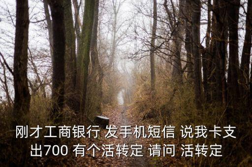 剛才工商銀行 發(fā)手機短信 說我卡支出700 有個活轉定 請問 活轉定