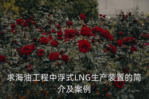 什么是浮式lng項目，什么是浮式LNG