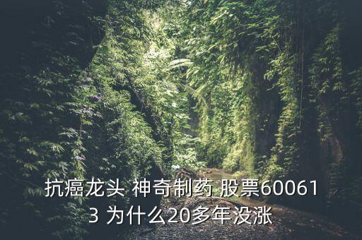 神奇制藥為什么23年不漲，貴州神奇藥業(yè)上市沒有