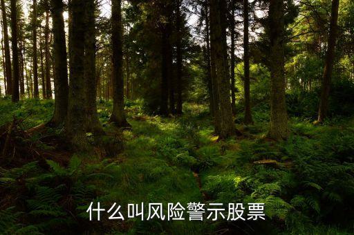 什么叫風(fēng)險(xiǎn)警示股票