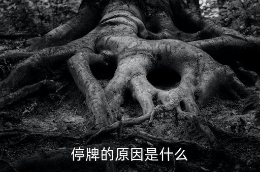 上海萊士為什么停牌，今天早上萊鋼為什么要停牌 一小時(shí) 是萊鋼申請的嗎