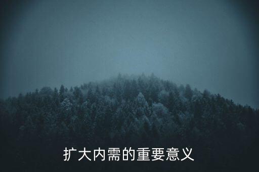 擴大內(nèi)需的重要意義