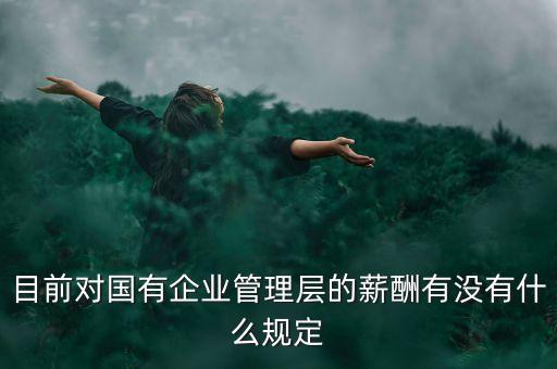 目前對國有企業(yè)管理層的薪酬有沒有什么規(guī)定