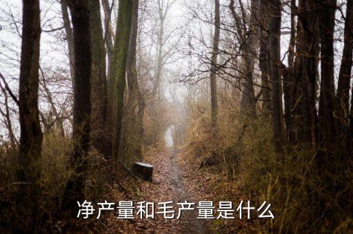 凈產量和毛產量是什么
