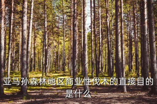 亞馬孫森林地區(qū)商業(yè)性伐木的直接目的是什么