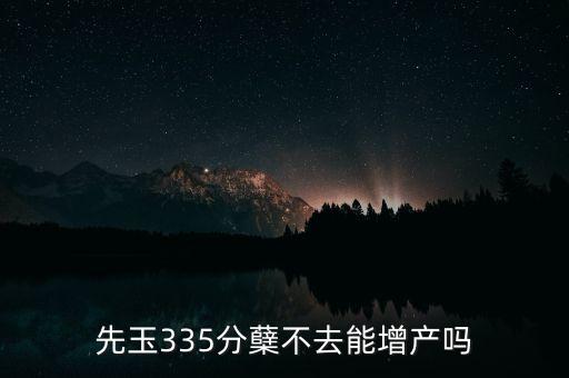 先玉335產(chǎn)量為什么低，先玉335分蘗不去能增產(chǎn)嗎
