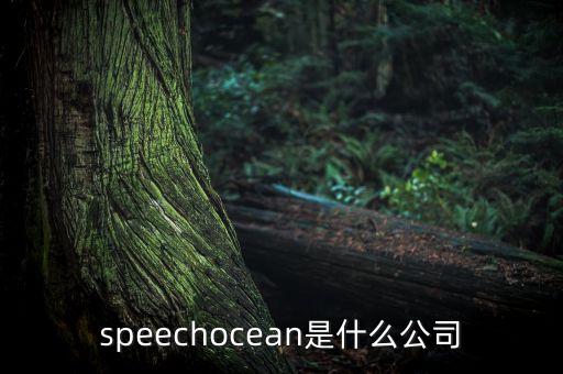 匹凸匹什么公司，AOL是什么公司