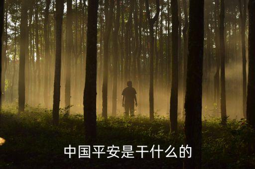 中國(guó)平安是干什么的
