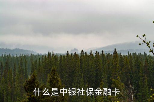 什么是中銀社保金融卡
