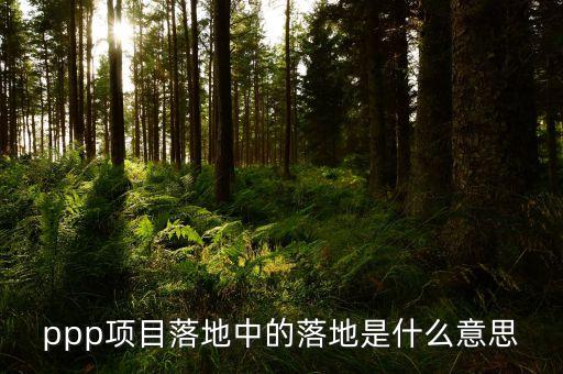 項(xiàng)目落地是什么意思，重大項(xiàng)目落地什么意思