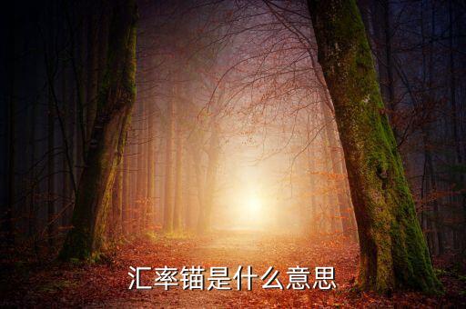 什么是利率錨，利率錨是什么意思 在線等