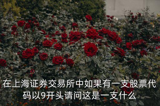 9字頭是什么股票，在上海證券交易所中如果有一支股票代碼以9開頭請問這是一支什么