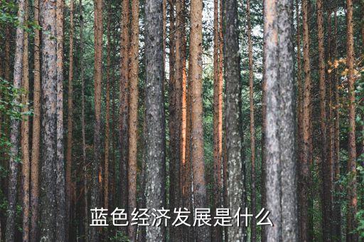 藍(lán)色經(jīng)濟(jì)發(fā)展是什么