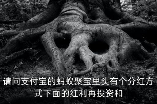 螞蟻聚寶基金分紅是什么，螞蟻聚寶是分紅再投資是什么意思