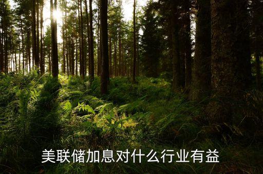 美元加息投資什么好，美聯(lián)儲加息對什么行業(yè)有益
