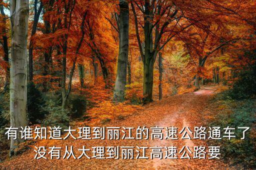 大麗高速公路什么時(shí)候通車(chē)，大麗線S221公路哪年通車(chē)哪月哪