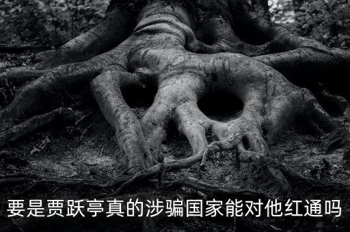 要是賈躍亭真的涉騙國家能對他紅通嗎