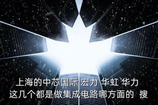 上海的中芯國(guó)際 宏力 華虹 華力 這幾個(gè)都是做集成電路哪方面的  搜