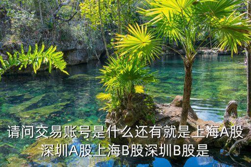 股東賬號是什么，請問交易賬號是什么還有就是上海A股深圳A股上海B股深圳B股是