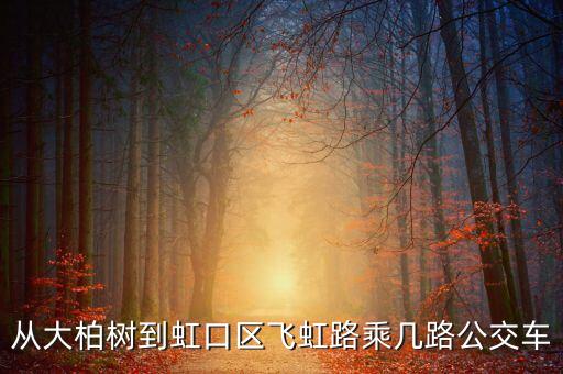 飛虹路430號可以乘什么公交車，上海人民廣場到飛虹路乘坐哪幾路公交車