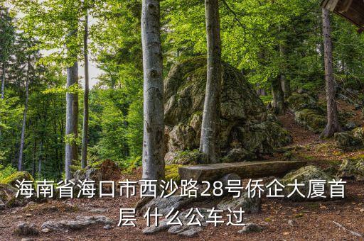 海南公務(wù)車什么號(hào)段，誰知道海南41 11月20日開的什么號(hào)碼