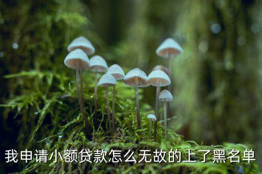 我申請(qǐng)小額貸款怎么無(wú)故的上了黑名單