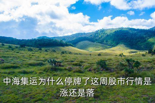中海海盛為什么停牌，中海海盛這股