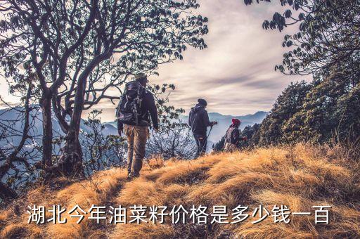 湖北菜籽為什么便宜，那里的菜籽最多最便宜批發(fā)