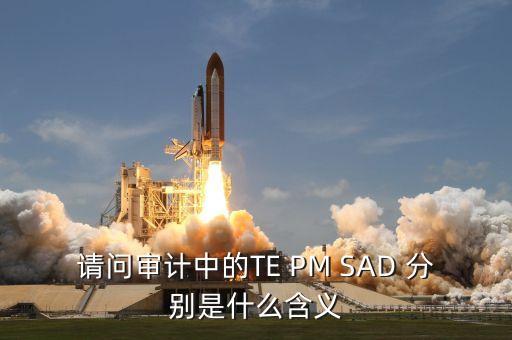 請問審計(jì)中的TE PM SAD 分別是什么含義