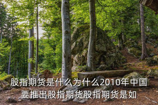 股指期貨是什么為什么2010年中國(guó)要推出股指期貨股指期貨是如