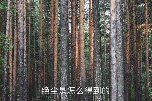 為什么絕塵貴，怎么弄到絕塵