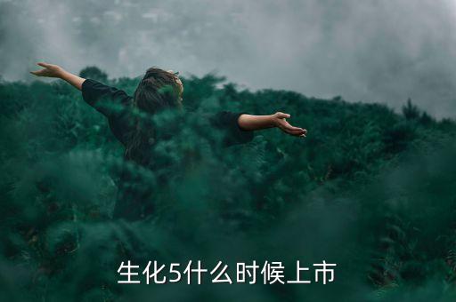 生化5什么時(shí)候上市