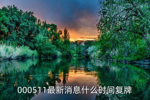 000511最新消息什么時間復牌