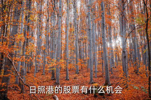 日照港的股票有什么機(jī)會