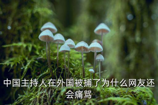 國網(wǎng)魏慶海出什么事了，中國主持人在外國被捕了為什么網(wǎng)友還會(huì)痛罵