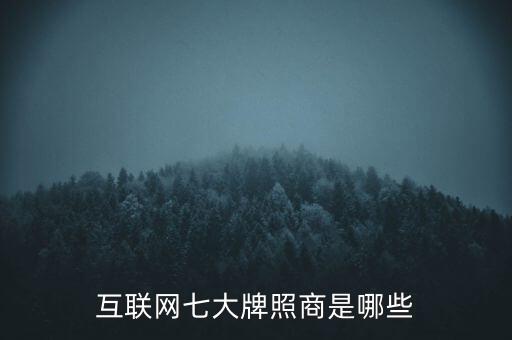 什么是國際互聯(lián)網(wǎng)牌照，3G牌照是什么意思有什么好處