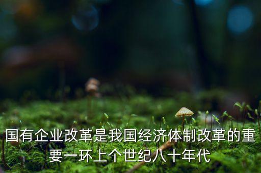 國有企業(yè)改革是我國經(jīng)濟(jì)體制改革的重要一環(huán)上個(gè)世紀(jì)八十年代