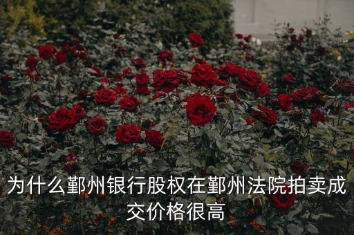 為什么鄞州銀行股權(quán)在鄞州法院拍賣成交價格很高