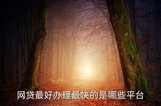 什么網貸最好申請，國內有哪些比較好的網貸平臺了