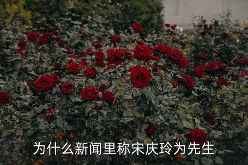 為什么新聞里稱宋慶玲為先生