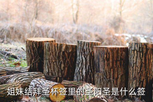 圣陽圣屬什么簽，天災(zāi)禍不除我去拜佛了請(qǐng)問下這只簽是什么意思啊好