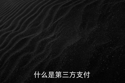 民信貸第三方支付是什么，什么是第三方支付