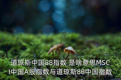 88開頭的股票是什么股，88打頭的股票代碼是那個(gè)交易所