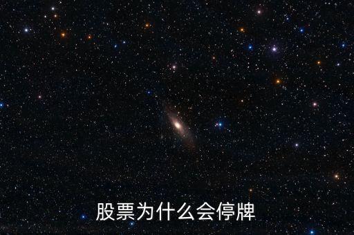 002163為什么停牌，股票為什么會停牌