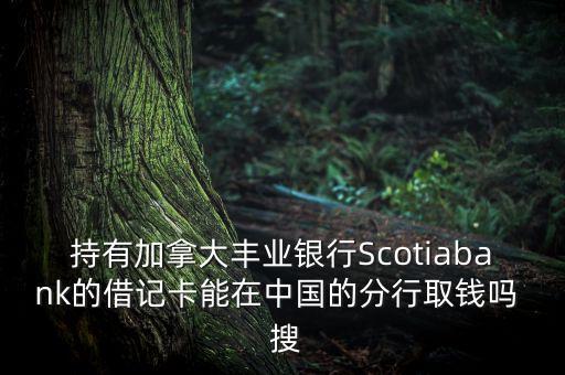 持有加拿大豐業(yè)銀行Scotiabank的借記卡能在中國的分行取錢嗎  搜