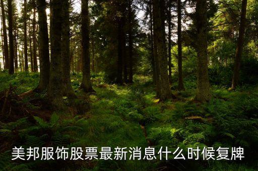 美邦服飾為什么停牌，京東方A現(xiàn)在377元這個價格適合大量買入嗎這個股價有上漲空間